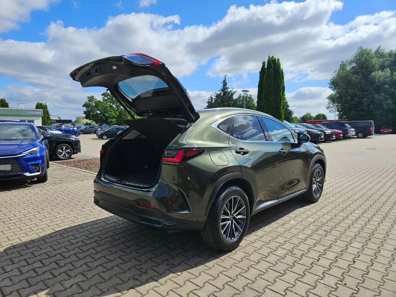 Lexus NX 13