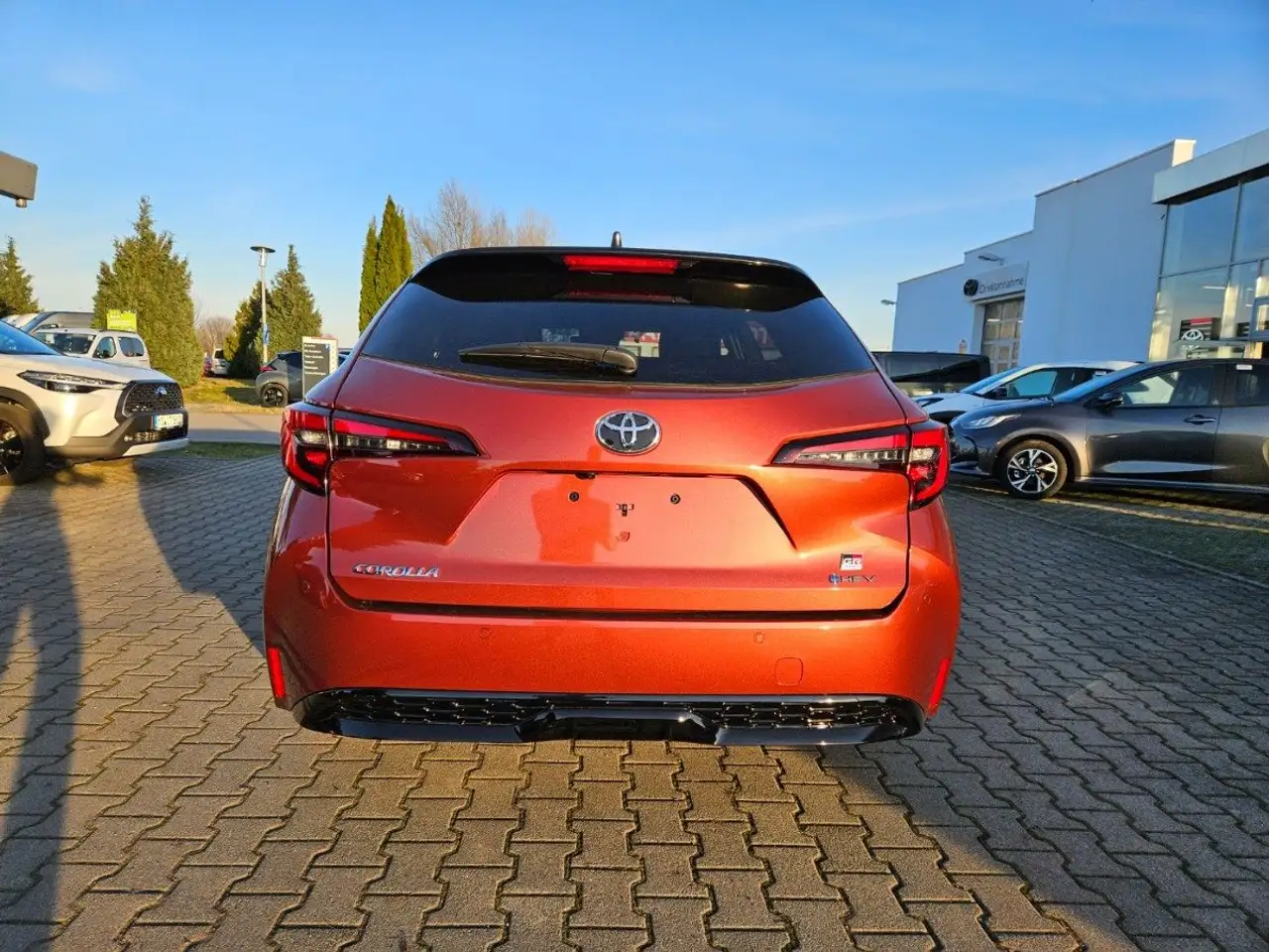 Toyota Corolla 6