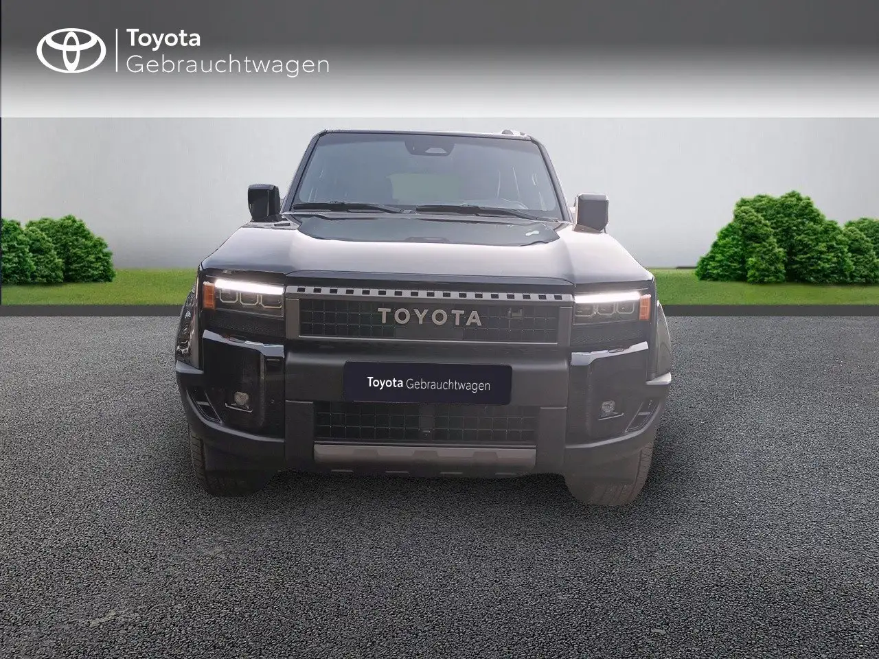 Toyota Land Cruiser 6