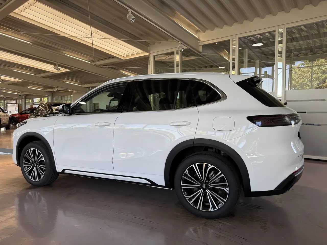 Geely Starray EM-i 6