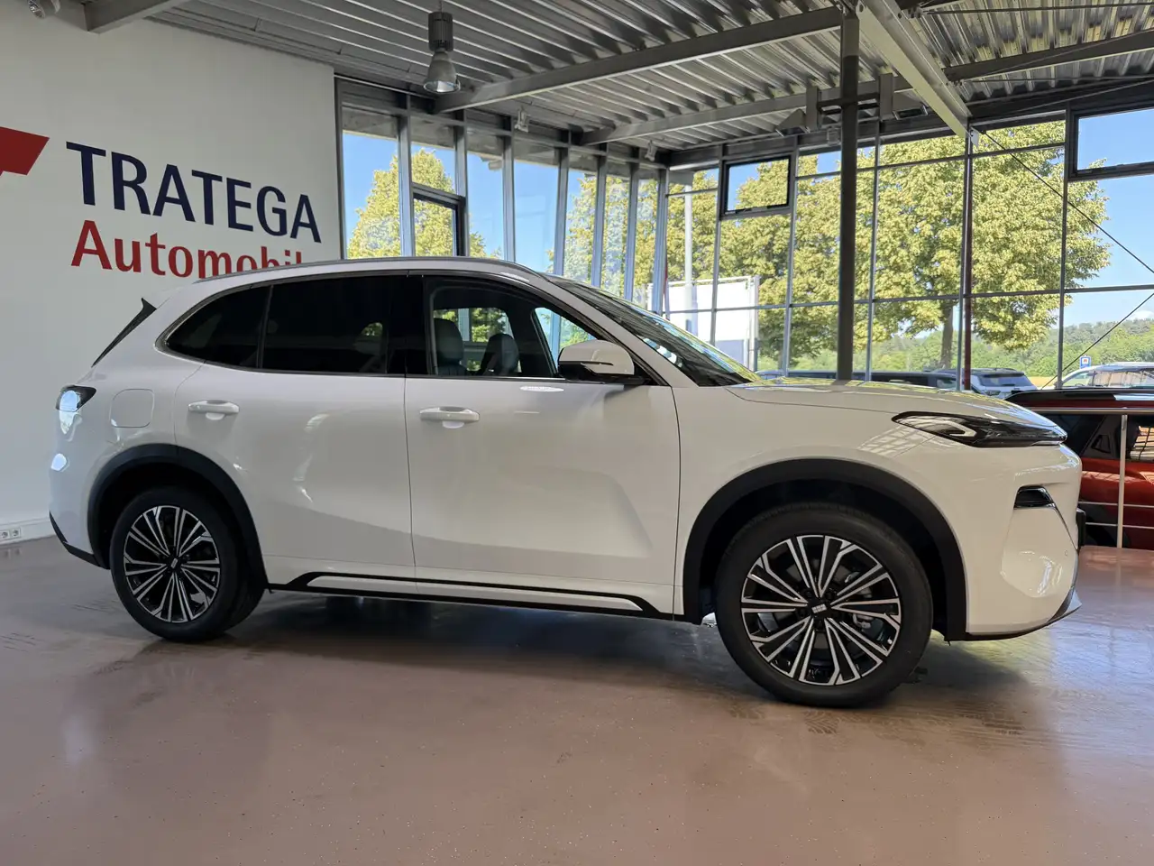 Geely Starray EM-i 10