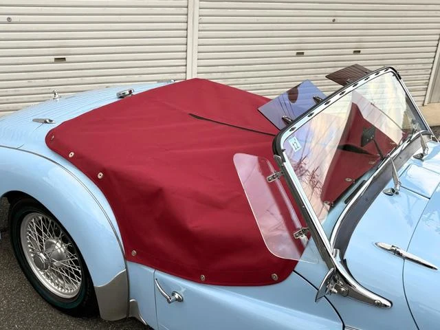 Triumph TR-3 17