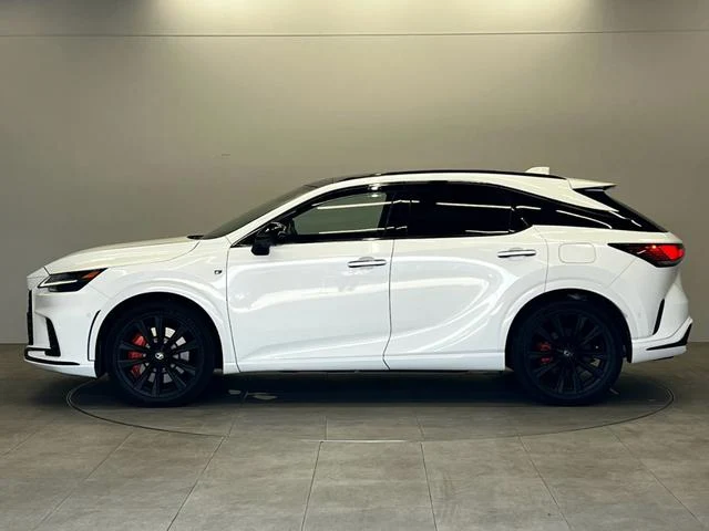 Lexus RX 12