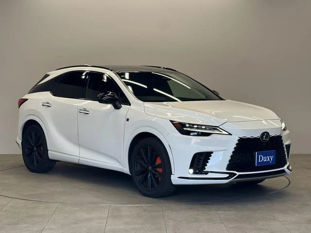 Lexus RX 17