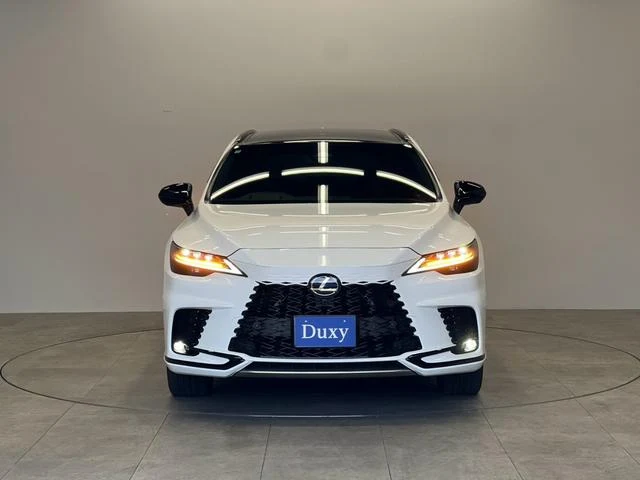Lexus RX 14