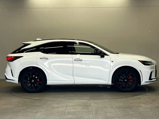 Lexus RX 13