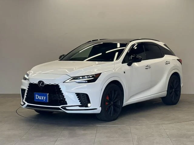 Lexus RX 16