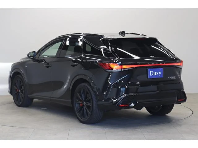 Lexus RX 33