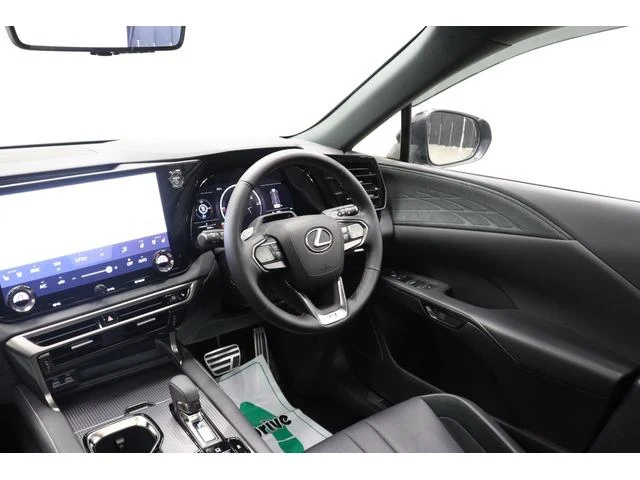 Lexus RX 66