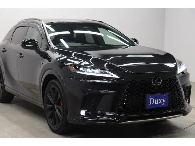 Lexus RX 16