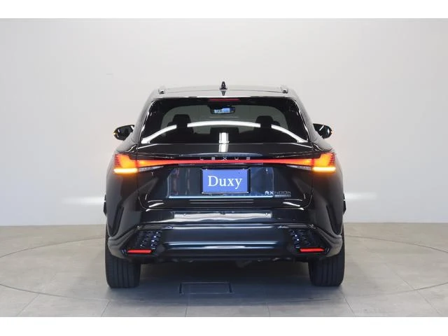 Lexus RX 13