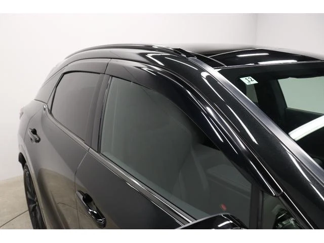 Lexus RX 29