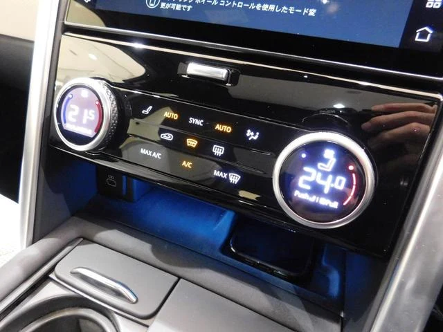 Land Rover DISCOVERY 30