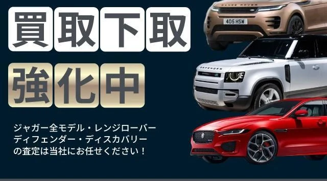 Land Rover DISCOVERY 73