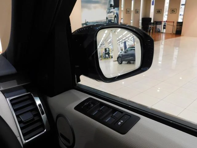 Land Rover DISCOVERY 46