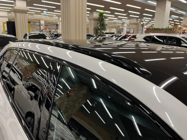 Volkswagen PASSAT 50
