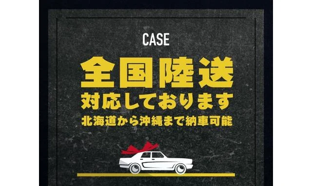 Volkswagen THE 3
