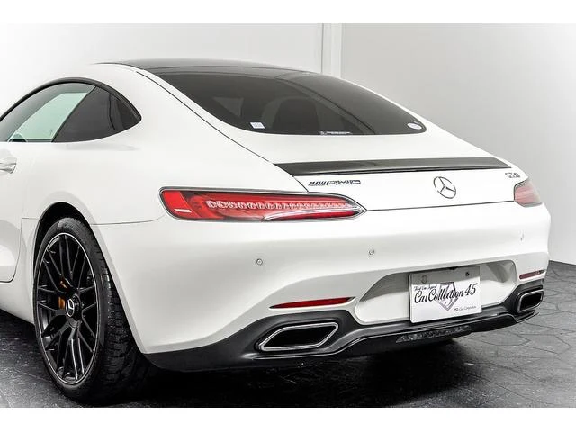 MERCEDES AMG GT 29
