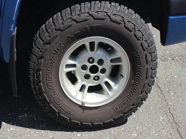 Dodge DAKOTA 11