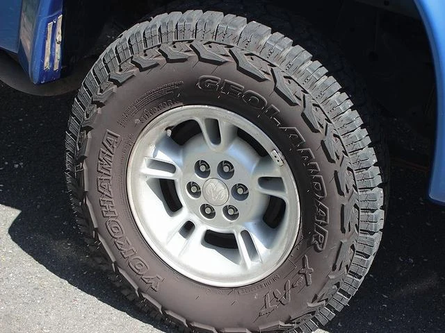 Dodge DAKOTA 10