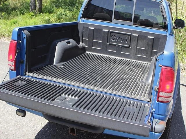 Dodge DAKOTA 31
