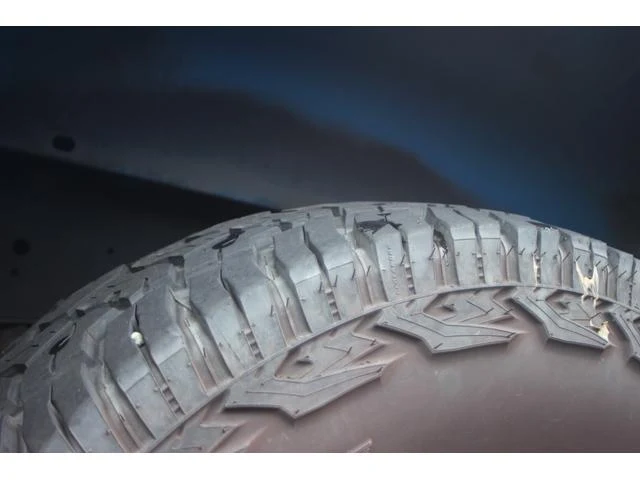 Dodge DAKOTA 53