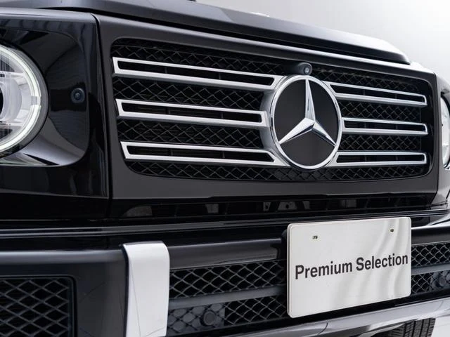 MERCEDES BENZ G-CLASS 41