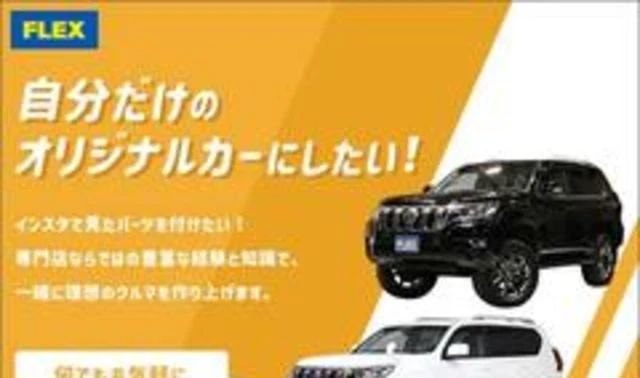 AMERICA LEXUS LX470 57
