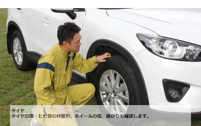 AMERICA LEXUS LX470 69