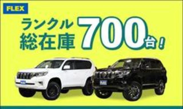 AMERICA LEXUS LX470 56