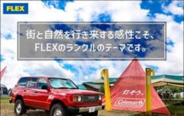 AMERICA LEXUS LX470 59