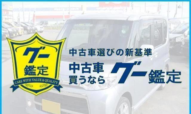 AMERICA LEXUS LX470 62