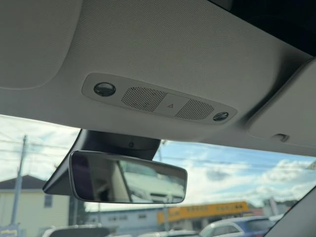 Tesla MODEL 3 29