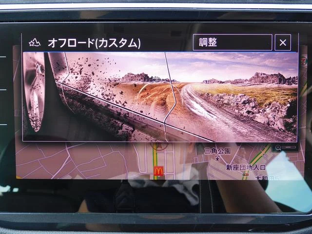 Volkswagen TIGUAN 42