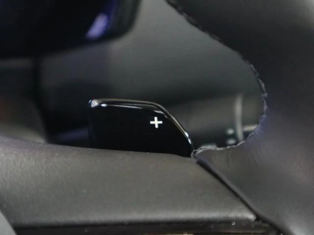 DS Automobiles DS4 51