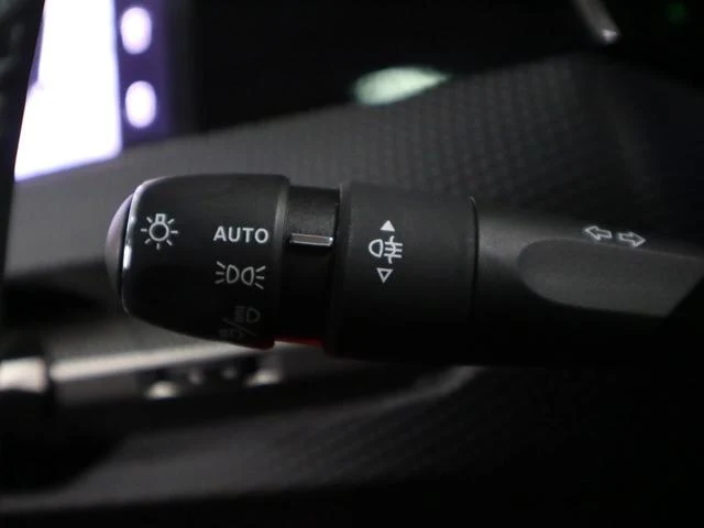 DS Automobiles DS4 47