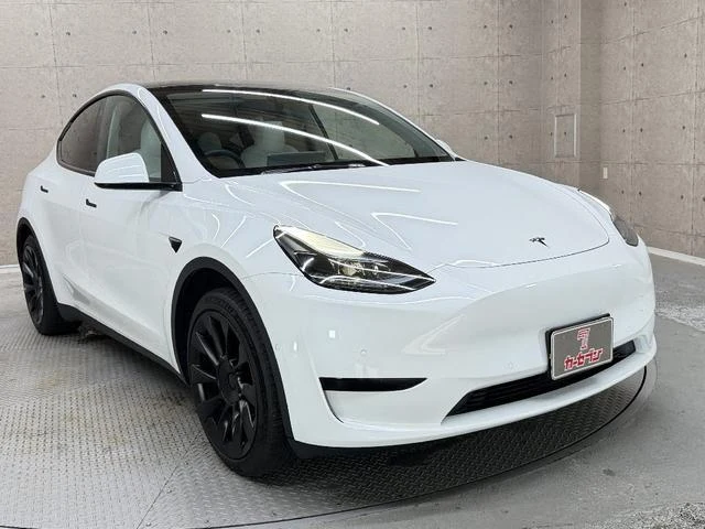 Tesla MODEL 61