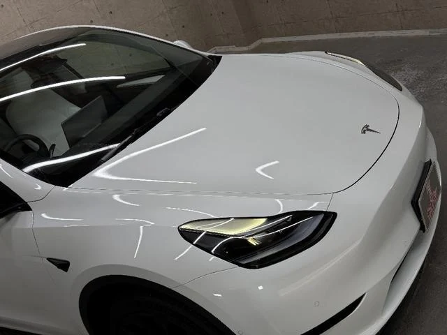 Tesla MODEL 66