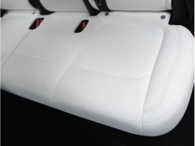 Tesla MODEL 59