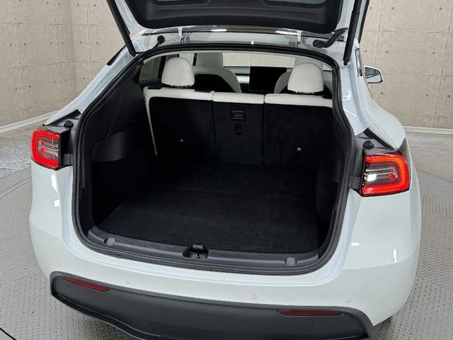 Tesla MODEL 15