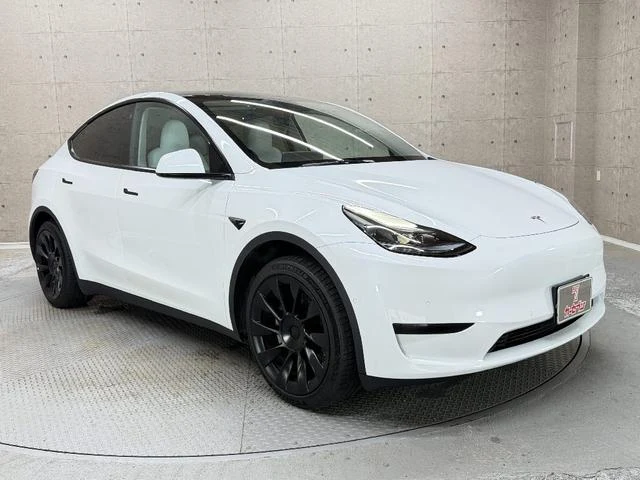 Tesla MODEL 10