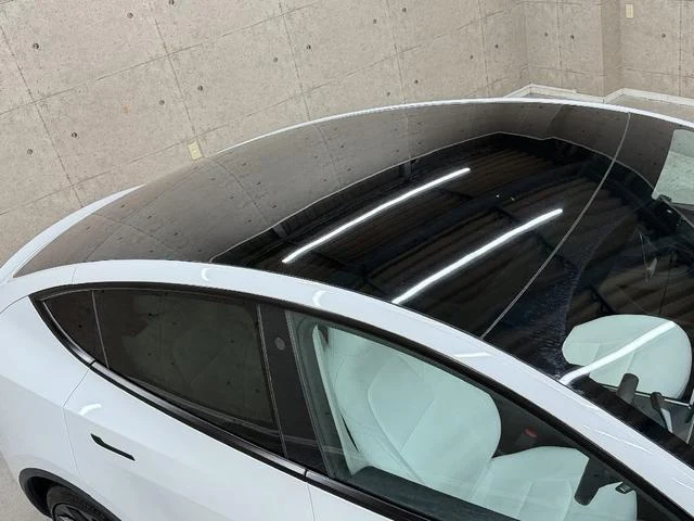 Tesla MODEL 65