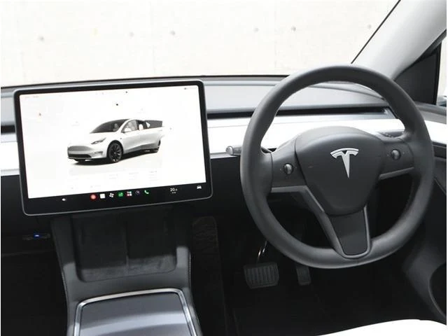 Tesla MODEL 25