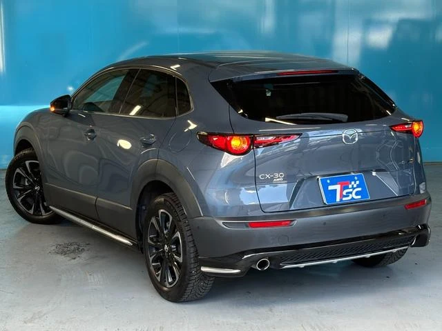 Mazda CX-30 XD 18