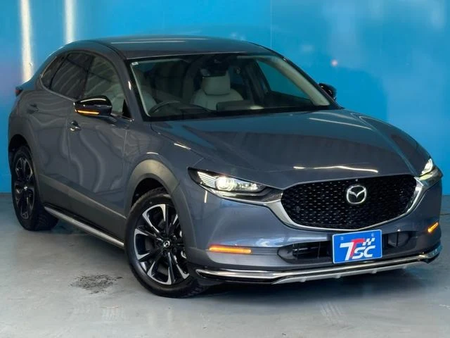 Mazda CX-30 XD 19