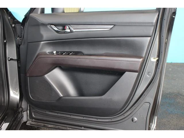 Mazda CX-8 43