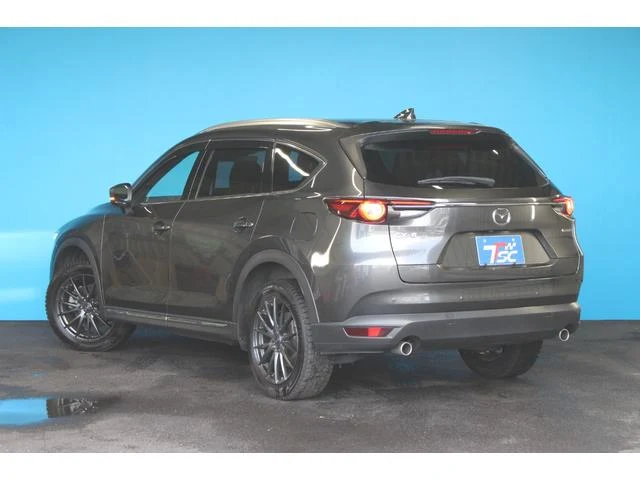 Mazda CX-8 31