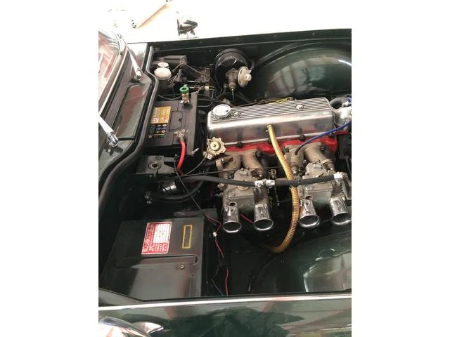 Triumph TR-4 29