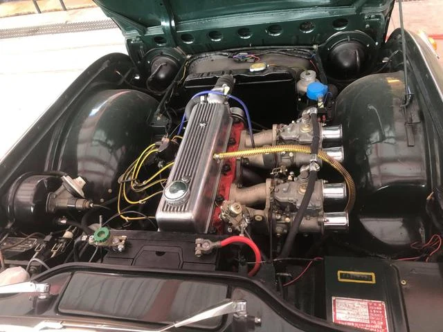 Triumph TR-4 43