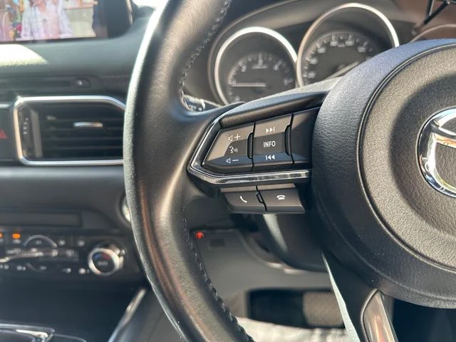 Mazda CX-8 19